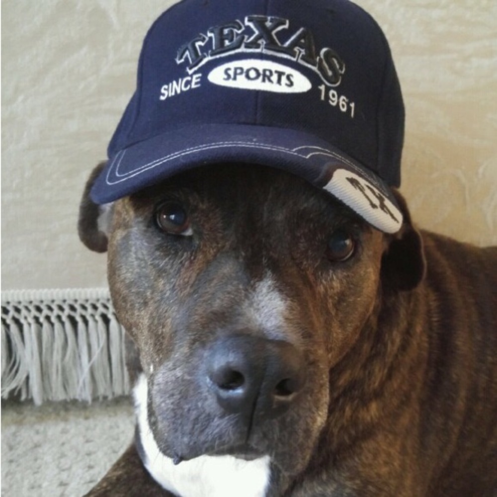 Meet your Posher, Rhonda